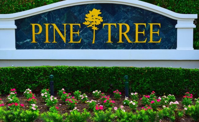 Pine Tree Golf Community