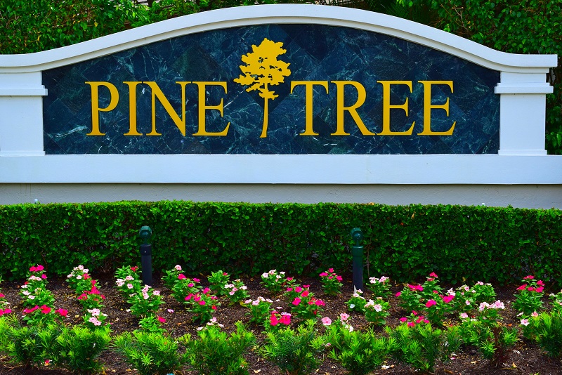 Pine Tree Golf Community